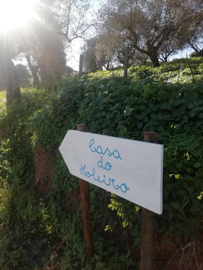 Santiago do CacémCasa Do Moleiro别墅 外观 照片